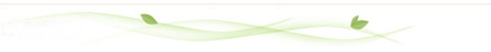First Image Silde Picture